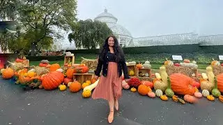 OCTOBER IN ONE MINUTE // 2022