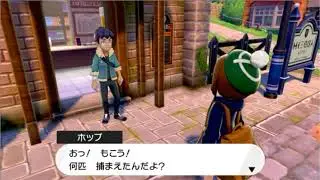 もこうがポケモン剣盾の日本語ミスを見つけた瞬間