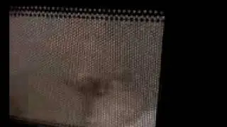 Microwave Fun