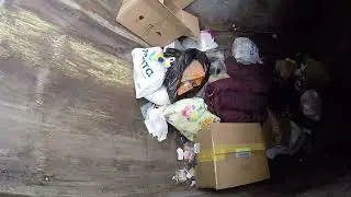 Поиск находок на мусорках в СПБ, телефон, наушники, монета, Зачем это выкинули?