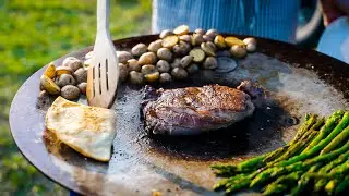 The Camp Cooking Grill That Changes EVERYTHING!