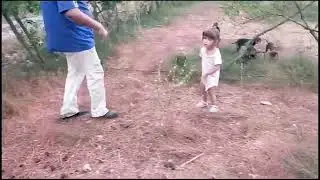 3 aylık kopay enigine canlı av bulma ve kovdurma eğitimi