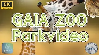 GaiaZOO Parkvideo 5K 60fps