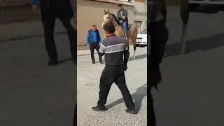 Алмардонбойни енг киммат оти