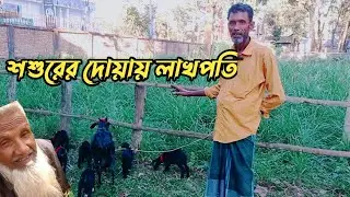 শশুরের দোয়ায় লাখপতি | এক ছাগলের ৬টি বাচ্চা