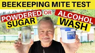 Beekeeping | How To Test Honey Bees For Mites? Sugar or Alcohol Wash? 