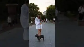Французский бульдог в центре Волгограда 🥰
