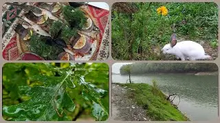 #Кусары🌼Озеро "Ченлибель" (Губа) и не только😁