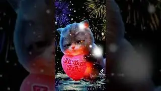 21 августа 2022 г.