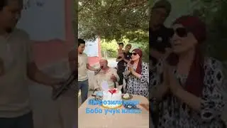 Широзилик бобо кушикни Жиртиб ташлади