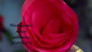 С днем рождения Лариса