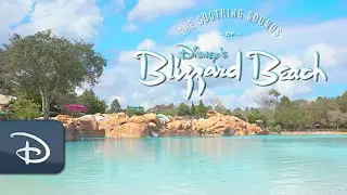 Experience the Soothing Sounds of Disney’s Blizzard Beach | Walt Disney World Resort