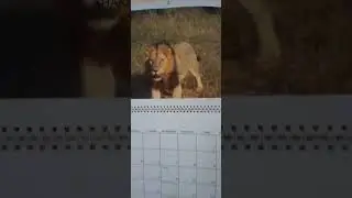 🇿🇦❣🇿🇦👏