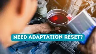 Transmission adaptation reset after fluid change? Scam!..