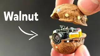 Not Just a Walnut — It’s a Secret Camera I Created!