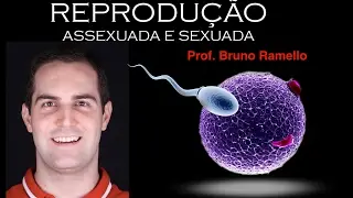 Reprodução Assexuada e Sexuada
