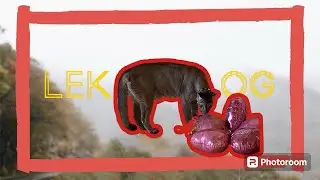 ‼️Обычные будни Лексы‼️Как встретила свое семилетие‼️
