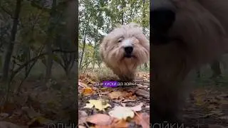 Счастливая женщина