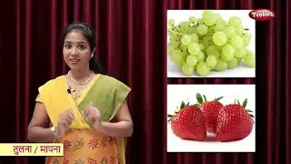 Learn Measurements in Hindi | Learn Hindi | Pre School Learning Videos