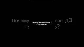 Подробнее в моем инстаграм @tiana.mediator