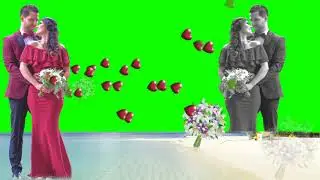 Romantic Green screen Effect video background frame