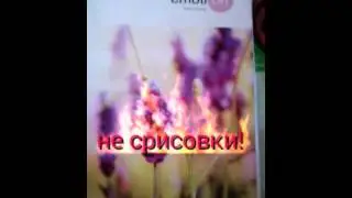 Мои Рисунки Фнаф!