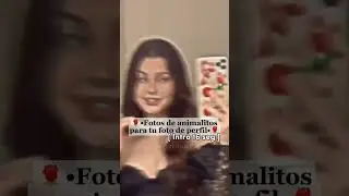 🌹•Fotos de perfil Aesthetic•🌹