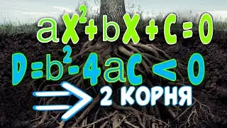 УРАВНЕНИЕ С ОТРИЦАТЕЛЬНЫМ ДИСКРИМИНАНТОМ ИМЕЕТ 2 КОРНЯ!
