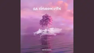 Sa shume vite