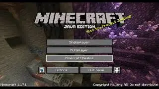 Deleting my 1 year minecraft world