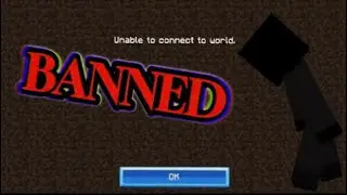 I was BANNED from the Ridiclue S.M.P...