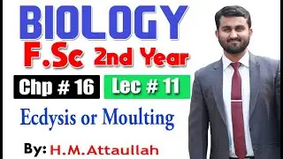 Ecdysis or moulting  | Chapter 16 | 2nd year Biology | Lec. # 11