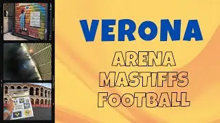 Verona: arena, mastiffs, football