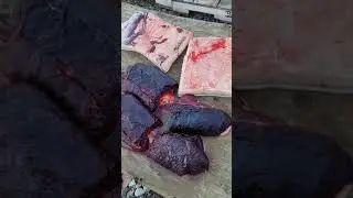 it's whale meat, real meat