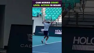 CAM NORRIE COURT LEVEL ACTION 