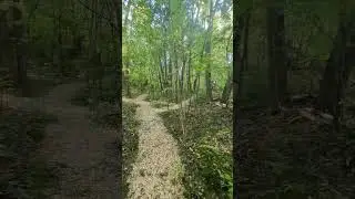 Wood chips and paths are done! Now for some cover!