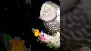 😱😱 Oh No 