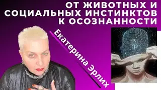 ОТ ЖИВОТНЫХ И СОЦИАЛЬНЫХ ИНСТИНКТОВ  В ОСОЗНАННОСТЬ. Екатерина Эрлих.
