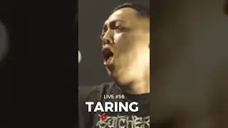 SFTC LIVE #56 | TARING