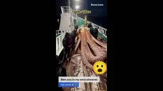 Join and Subscribe Huge Hoctopus