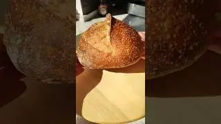 Homemade wheat sourdough bread