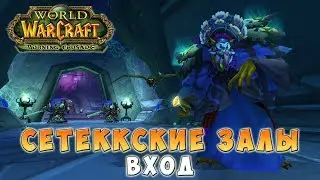 Сетеккские залы - Вход