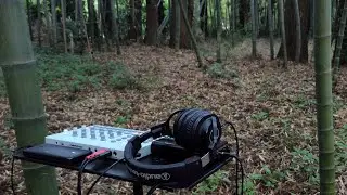 ELEKTRON Model:Cycles 63