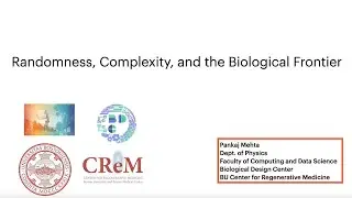 Mathematics of Life Seminar Series: Randomness, Complexity, and the Biological Frontier