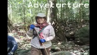 Ekspedisi ke Hutan Kalimantan untuk Pemasangan Pilar Batas Daerah