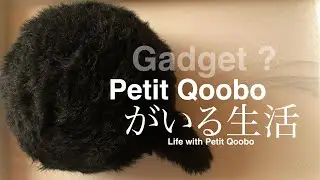 #246 Life with Petit Qoobo / Petit Qooboがいる生活