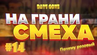 Почему Розовый ? На грани смеха, Days Gone #14