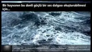 Dünyanın Kaydedilmiş En Gizemli 6 Ses Kaydı