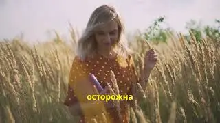 Путешествие к пророческой книге