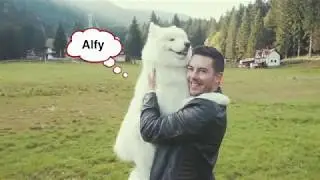 Alex & Alfy